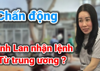 Vụ cô Hằng Đinh Lan nhận lệnh từ trung ương ?