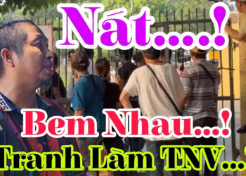 P Nghiêm Đã Về VN…! Nam Râu Bem Tuấn Bắp Tranh Chức TNV
