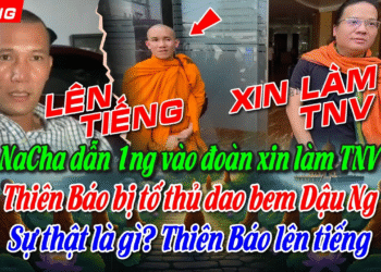 Na Cha dẫn 1 người vào đoàn và xin làm TNV, Thiên Báo Bị Tố Thủ Dao Để Chém Người: Sự Thật Là Gì?