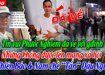 Tin vui Ph.Nghiêm đã về đoàn tụ với gia đình. Vì sao Thiên Báo, Nam Chè tẩn chủ nợ Thái Tâm bầm dập