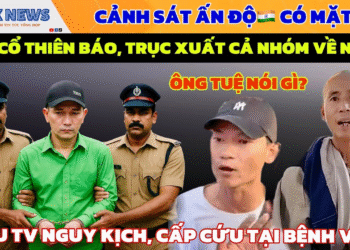 Hỗn Chiến Tại Ấn Độ 🔥 Cảnh Sát Tóm Cổ Thiên Báo, Nạn Nhân Nguy Kịch, Cả Nhóm Bị Trục Xuất | Minh Tuệ
